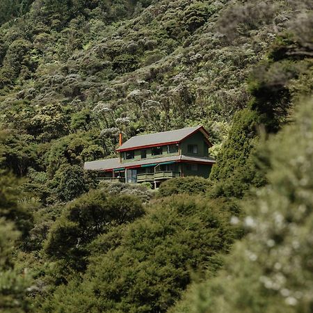 Buffalo Lodge Coromandel Eksteriør billede