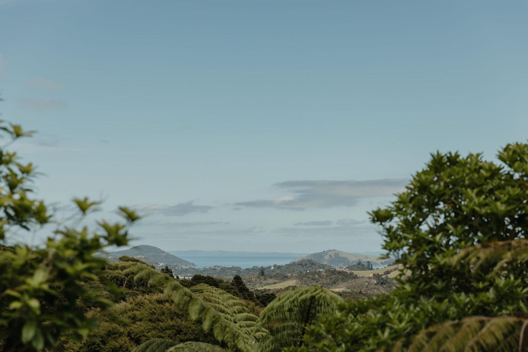 Buffalo Lodge Coromandel Eksteriør billede