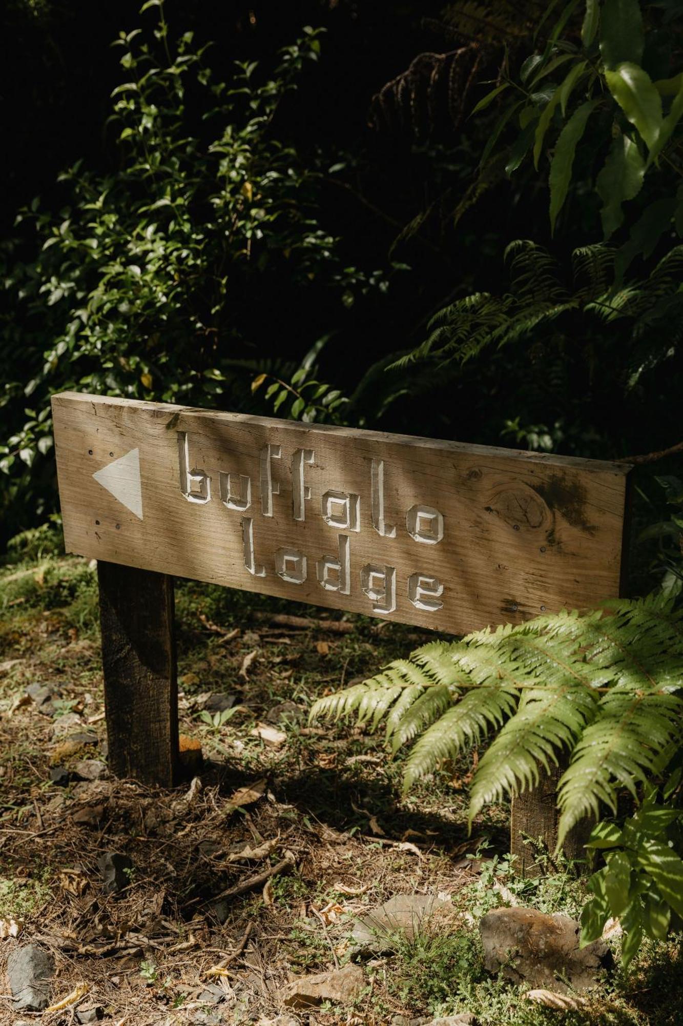 Buffalo Lodge Coromandel Eksteriør billede