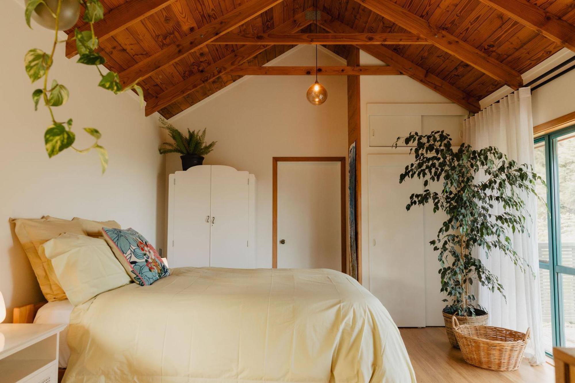 Buffalo Lodge Coromandel Værelse billede