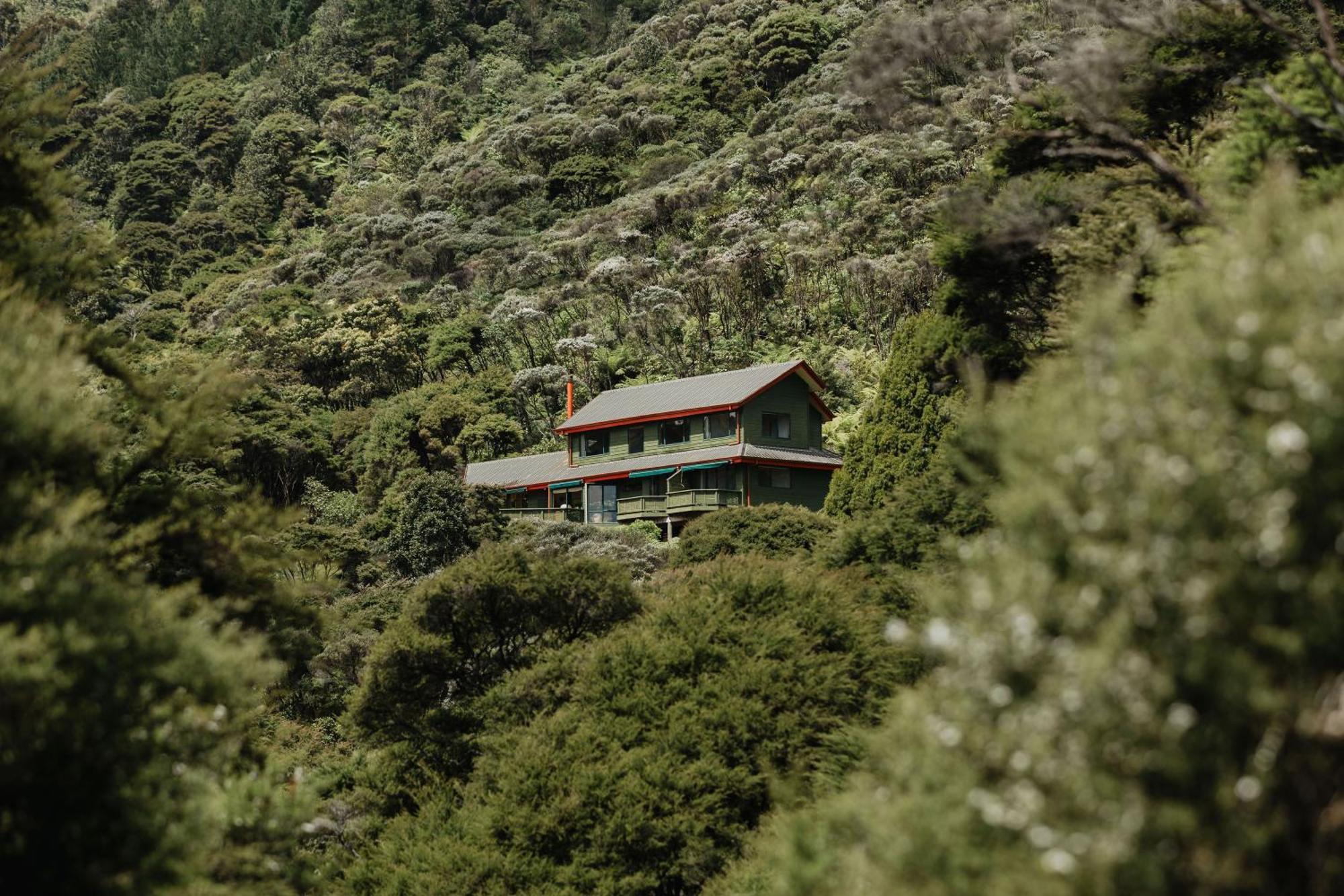 Buffalo Lodge Coromandel Eksteriør billede